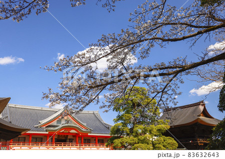 【東京都】日野市高幡不動尊　不動堂とソメイヨシノ 83632643