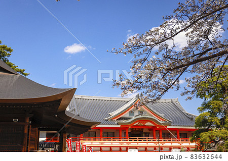【東京都】日野市高幡不動尊　不動堂とソメイヨシノ 83632644