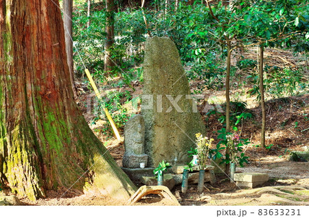 お牧の方（明智光秀の母）墓所：岐阜 83633231