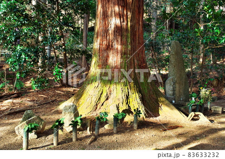 お牧の方(明智光秀の母)墓所:岐阜 お牧の方(明智光秀の母)墓所:岐阜 83633232