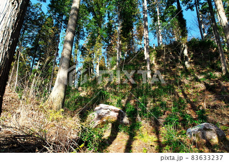 明知城跡（白鷹城跡）出丸の猿戻し（切岸）：岐阜 83633237