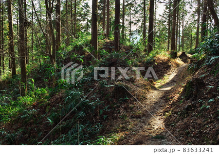 明知城跡(白鷹城跡)横堀と竪堀:岐阜 明知城跡(白鷹城跡)横堀と竪堀:岐阜 83633241