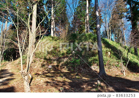 明知城跡（白鷹城跡）本丸切岸と帯曲輪（腰曲輪）：岐阜 83633253