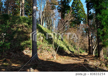 明知城跡（白鷹城跡）本丸切岸と帯曲輪（腰曲輪）：岐阜 83633254