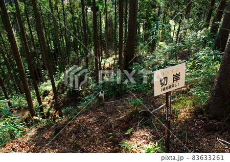 明知城跡(白鷹城跡)出丸の猿戻し(切岸):岐阜 明知城跡(白鷹城跡)出丸の猿戻し(切岸):岐阜 83633261