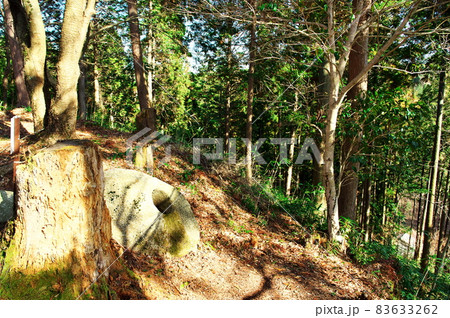 明知城跡(白鷹城跡)出丸の柱石:岐阜 明知城跡(白鷹城跡)出丸の柱石:岐阜 83633262