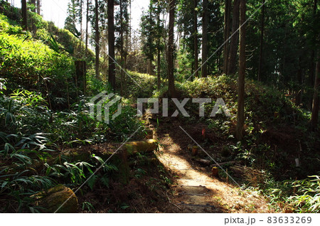 明知城跡(白鷹城跡)の畝状堅堀群(畝状空堀群):岐阜 明知城跡(白鷹城跡)の畝状堅堀群(畝状空堀群):岐阜 83633269