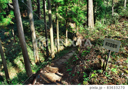 明知城跡（白鷹城跡）の畝状堅堀群（畝状空堀群）：岐阜 83633270
