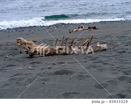 砂浜に打ち上げられた大木の流木 砂浜に打ち上げられた大木の流木 83633329