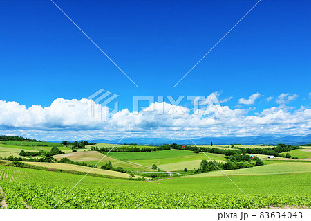 北海道　夏の青空と美瑛の風景 83634043