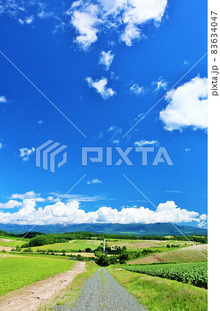 北海道　夏の青空と美瑛の風景 83634047