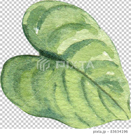 Green leaf watercolor clipart Green leaf watercolor clipart 83634196