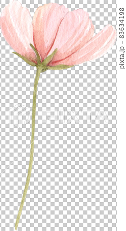 Floral flower watercolor clipart 83634198