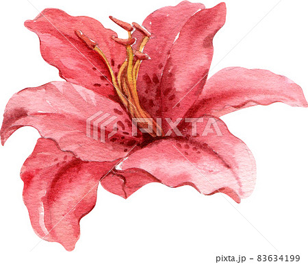 Floral flower watercolor clipart 83634199