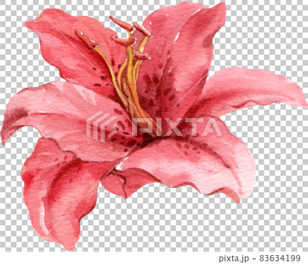 Floral flower watercolor clipart 83634199
