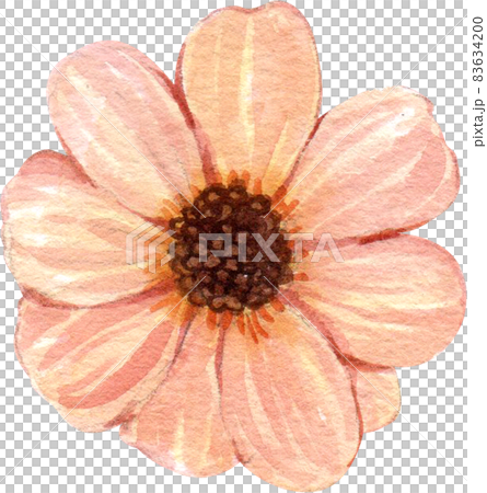 Floral flower watercolor clipart 83634200