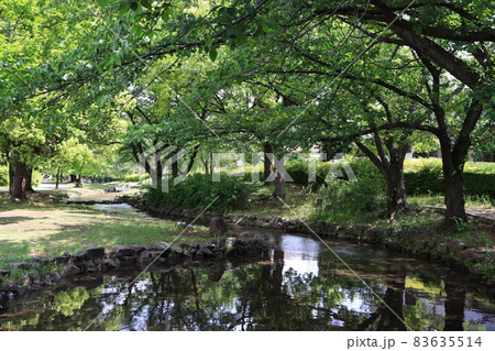 さいたま市見沼区の東大宮親水公園の風景 さいたま市見沼区の東大宮親水公園の風景 83635514