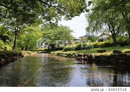 さいたま市見沼区の東大宮親水公園の風景 83635516