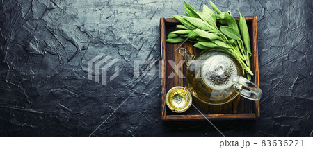 Sage in herbal medicine,space for text Sage in herbal medicine,space for text 83636221