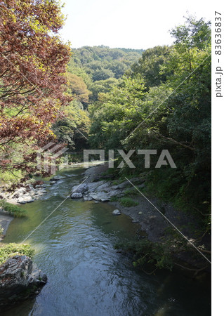 槻川と嵐山渓谷の風景 83636837