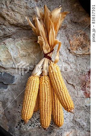 Dried corn cobs on stone wall 83637501