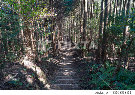 岩湧山から紀見峠へ向かう登山道(ダイヤモンドトレイル) 岩湧山から紀見峠へ向かう登山道(ダイヤモンドトレイル) 83639331