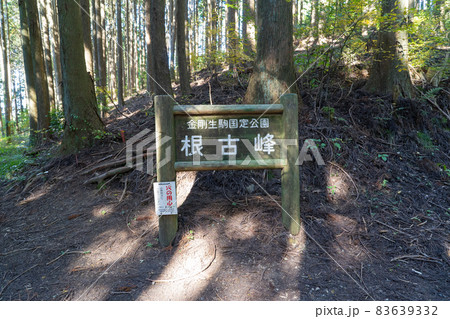 根古峰（岩湧山から紀見峠へ向かうダイヤモンドトレイル） 83639332
