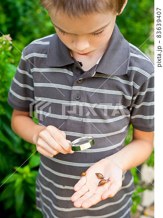 Kid observing snails Kid observing snails 83639407