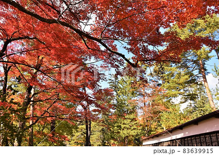奥会津柳津町 秋の福満虚空蔵尊円蔵寺 83639915
