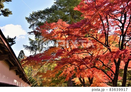 奥会津柳津町 秋の福満虚空蔵尊円蔵寺 奥会津柳津町 秋の福満虚空蔵尊円蔵寺 83639917