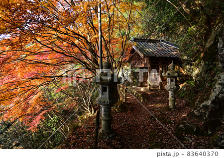 石龕寺の紅葉 83640370