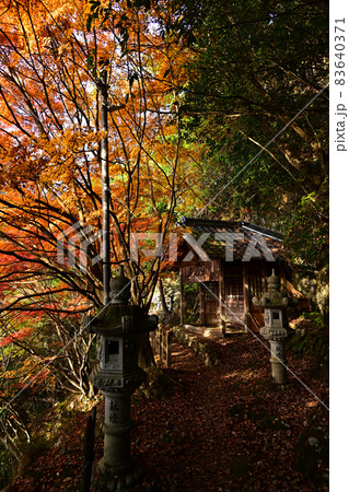 石龕寺の紅葉 83640371