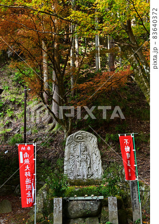 石龕寺の紅葉 石龕寺の紅葉 83640372