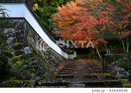 荘厳寺の紅葉 荘厳寺の紅葉 83640646