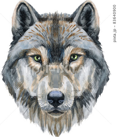 realistic wolf head drawing