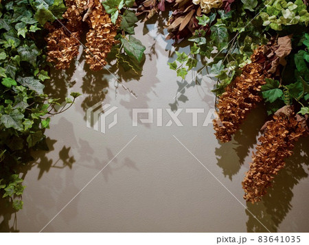 ボタニカル　イメージ コピースペース 83641035