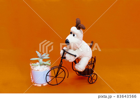 多肉植物・秋麗と置物の自転車と犬のぬいぐるみのテーブルフォト 83643566