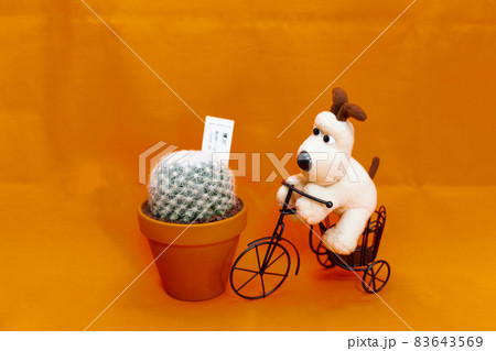 サボテン・満月と置物の自転車と犬のぬいぐるみのテーブルフォト 83643569