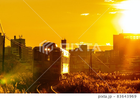 夕日を背に走るキハ54 釧路 夕日を背に走るキハ54 釧路 83643969