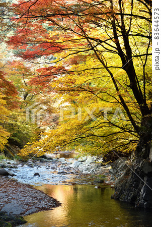 大芦渓谷、鹿沼、栃木県 83644573