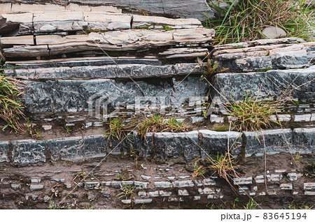 Close-up layered wild stone overgrown with moss, sandstone rock protruding from ground Close-up layered wild stone overgrown with moss, sandstone rock protruding from ground 83645194