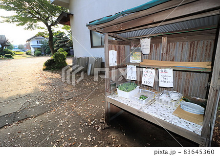 野菜の無人販売所　新鮮野菜の直売所　安心安全の野菜販売 83645360