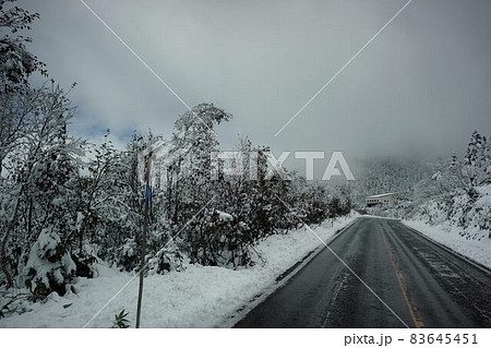 冬の立山高原道路 冬の立山高原道路 83645451