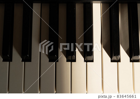 ピアノの鍵盤 ピアノの鍵盤 83645661
