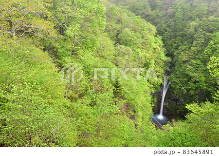 駒止の滝、夏、那須、栃木 駒止の滝、夏、那須、栃木 83645891