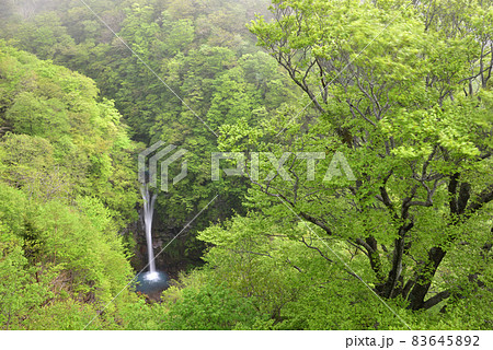 駒止の滝、夏、那須、栃木 83645892