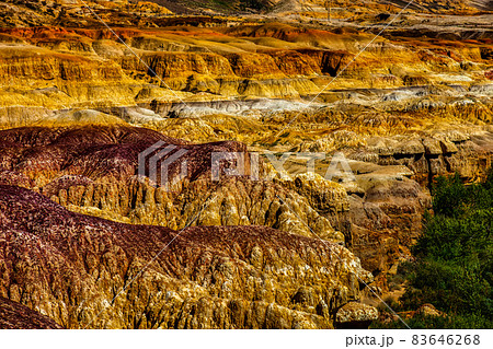 自然 天然 ナチュラル 83646268