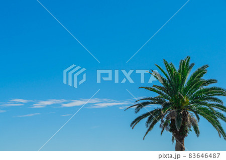 熊野海岸 熊野海岸 83646487