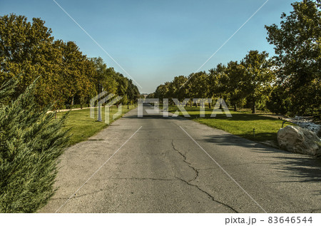 An alley leading to the exit from the Botanical Garden in the suburbs of Tehran on a sunny autumn day. 83646544