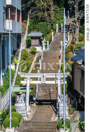 日本の川崎都市景観　宮前平駅前の八幡神社などを望む 83647539